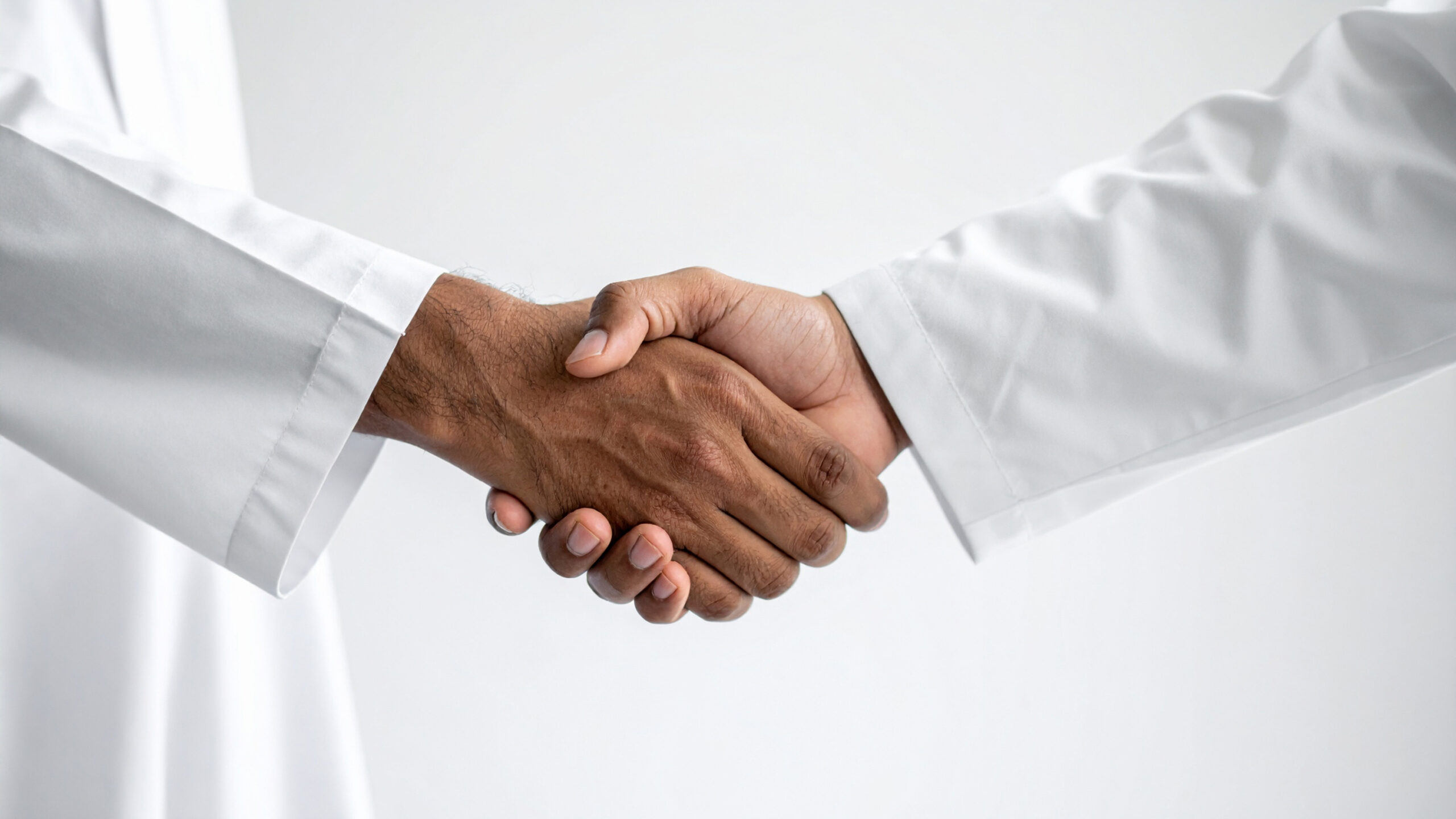 A trusted, professional handshake